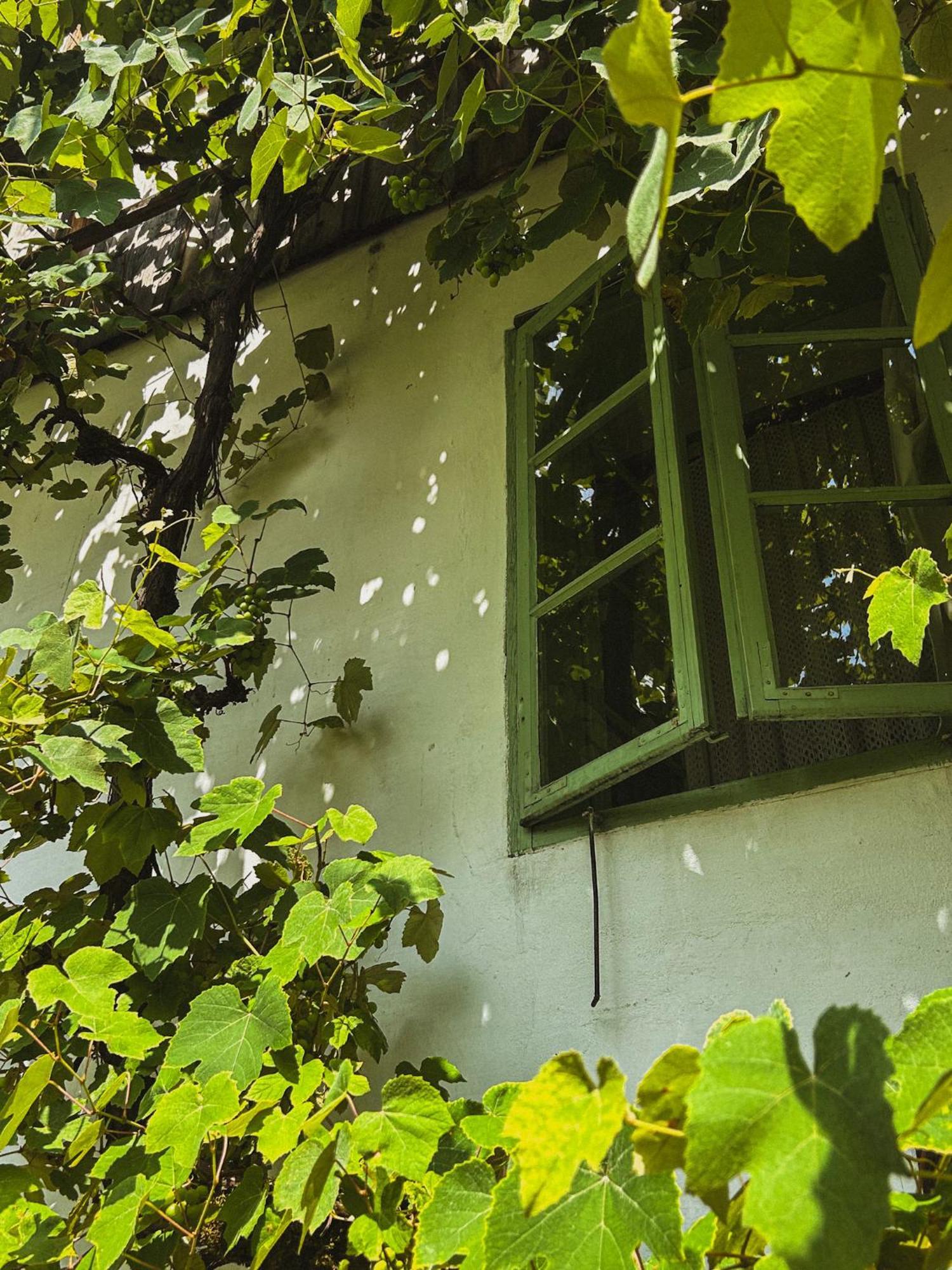 Vintage House Podliparska Guest House Fara Ngoại thất bức ảnh