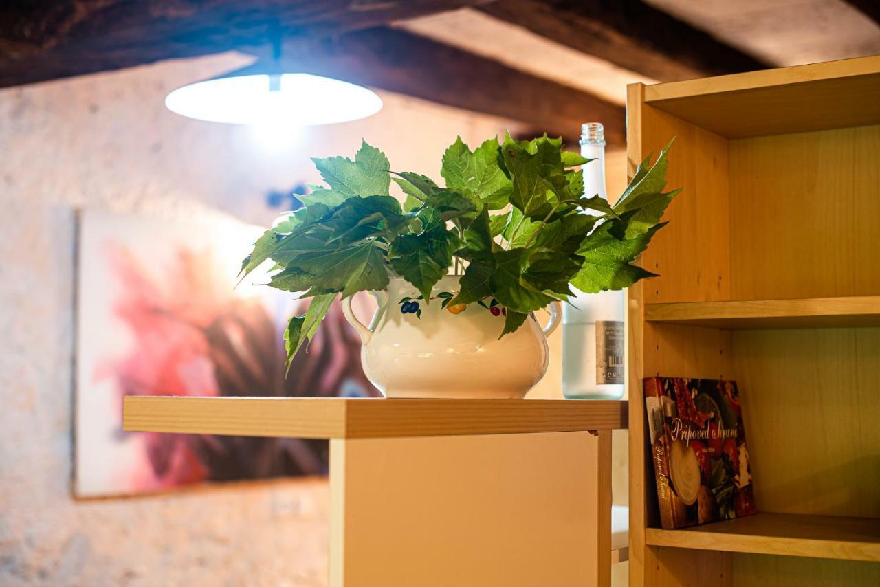 Vintage House Podliparska Guest House Fara Ngoại thất bức ảnh