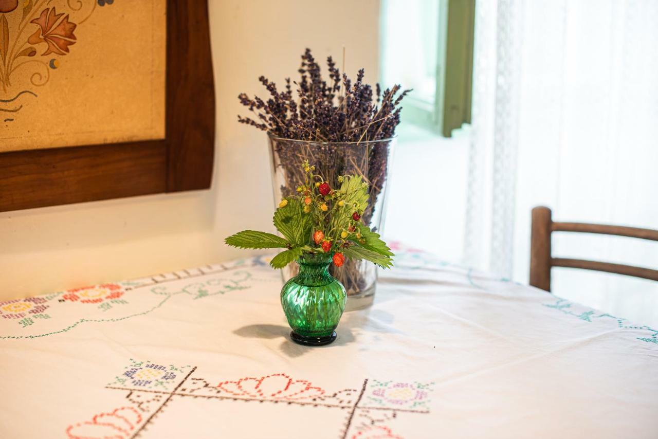 Vintage House Podliparska Guest House Fara Ngoại thất bức ảnh
